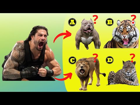 Видео: Викторина WWE - Можете ли вы угадать, что суперзвезды WWE выглядят как KING ANIMAL?