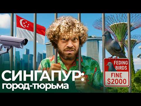 Видео: Сингапур: город-тюрьма в самой счастливой стране | Тысячи долларов за голубей, питбулей и жвачку