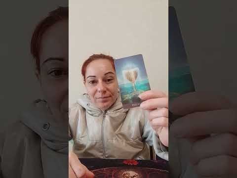 Видео: зодия скорпион ♏ през декември!🧑‍🎄