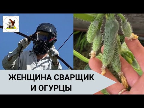 Видео: Навес под виноград и почему не растут огурцы.