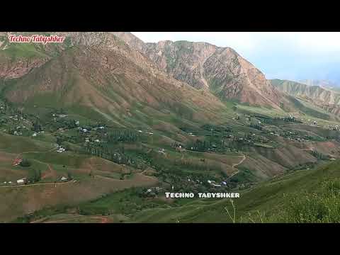Видео: Сары Камыш айылы. Токтогул району.