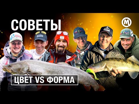 Видео: Выбор приманки: Цвет или форма?