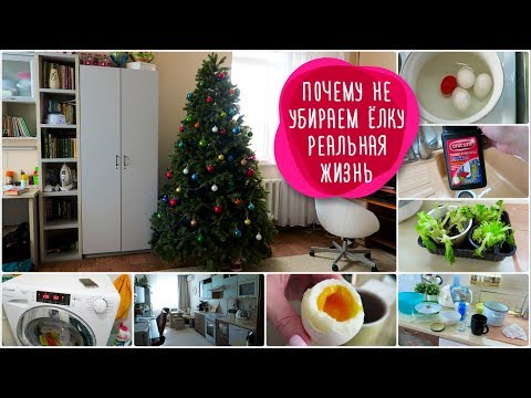 Видео: VLOG: Почему не убираем елку / БУДНИ МАМЫ /Реальная ЖИЗНЬ / Мой ДЕНЬ/ Как прочистить засор/БЫТОВУХА/
