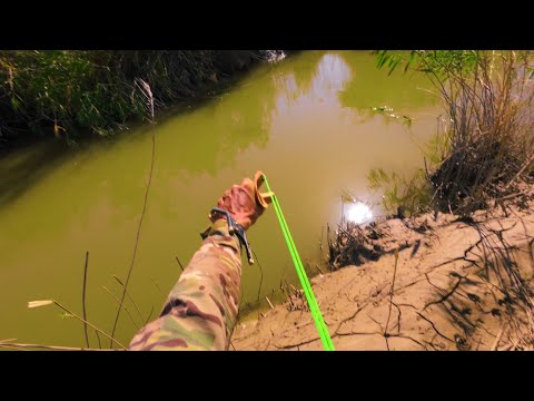 Видео: Қиынға соққан рогаткамен балық аулау