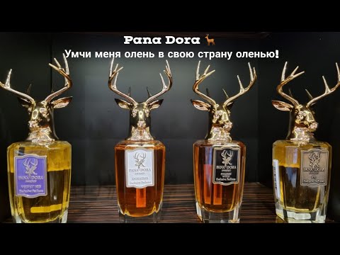 Видео: Pana Dora. Вернись Лесной Олень!