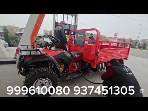 Видео: 18 ноября 2025 г.