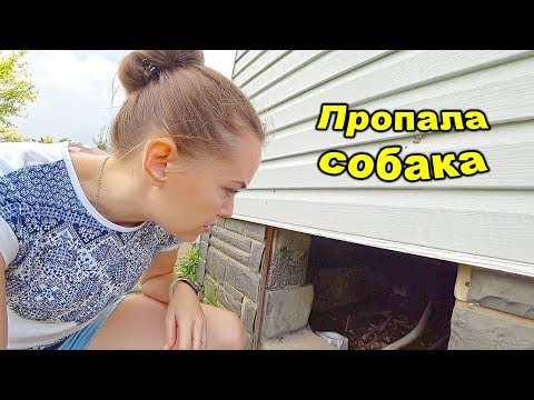 Видео: ВЛОГ Женя пропала! 5 августа 2018