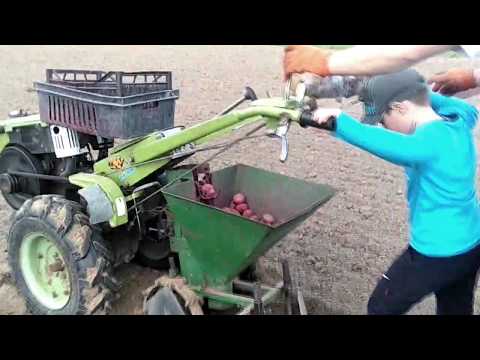 Видео: Мотоблок зубр, посадка картофеля сажалкой