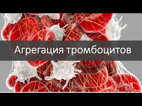 Видео: Просто о сложном: агрегация тромбоцитов