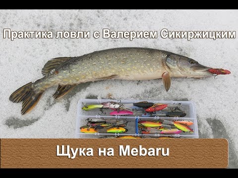 Видео: Ловля щуки. Балансиры Mebaru. Практика ловли с Валерием Сикиржицким.