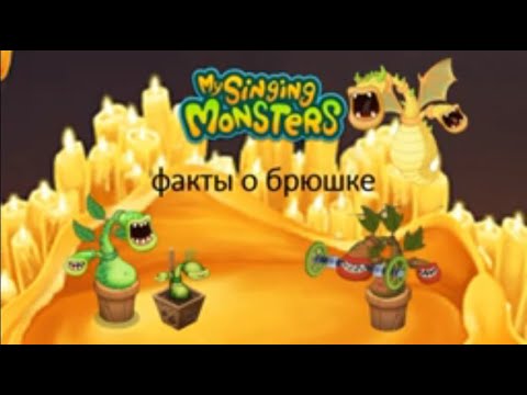 Видео: msm факты о брюшке