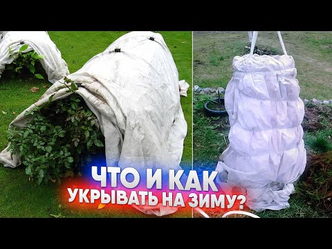 Видео: Что и как укрывать на зиму?