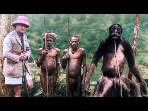 Видео: 7 самых жутких находок в джунглях