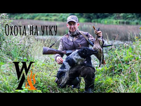 Видео: ОТКРЫТИЕ СЕЗОНА. УТКА С ПОДХОДА. ИЖ-58 20 КАЛИБР