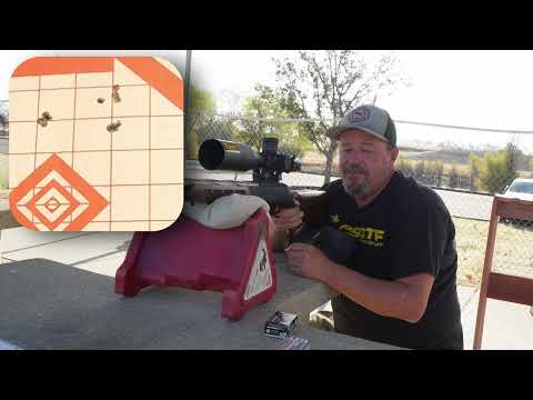 Видео: тестирование боеприпасов через 10/22