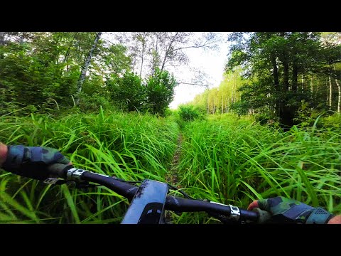 Видео: Лосиный остров 🫎 Тропа вдоль реки Лось