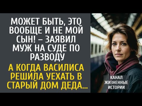 Видео: Может быть, это и не мой сын! – заявил муж на суде по разводу… А решив уехать в старый дом деда…