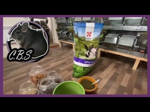 Видео: КОРМЛЕНИЕ ШИНШИЛЛ | ФЕРМА ШИНШИЛЛ | ШИНШИЛЛОВАЯ ФЕРМА