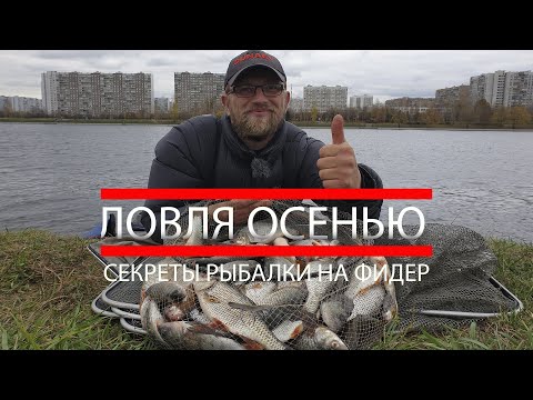 Видео: Рыбалка на фидер. Секреты ловли осенью. Ловим много рыбы.