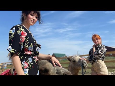 Видео: Отдых в Калмыкии на Верблюжьем острове.