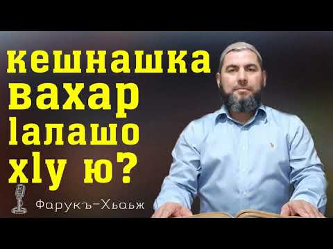 Видео: Кешнашка вахар lалашо хlу ю?