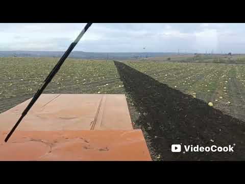 Видео: 16 октября 2025 г.