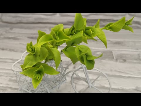 Видео: МК Веточка зелени из холодного фарфора/a sprig of greens from cold porcelain