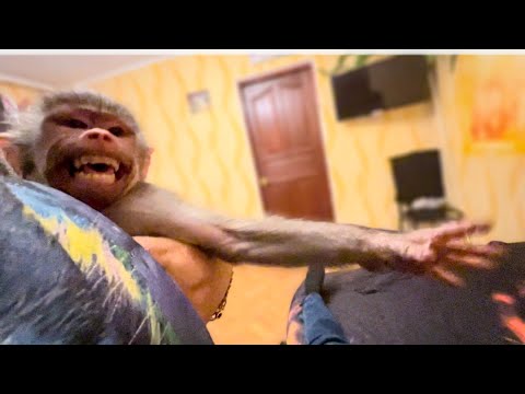 Видео: Люська превратилась в Человека-паука и продолжает МУЧАТЬ ВЛАДА!