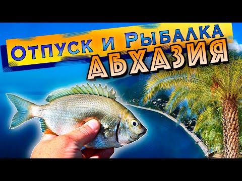 Видео: Морская рыбалка на Черном море с берега. Абхазия.