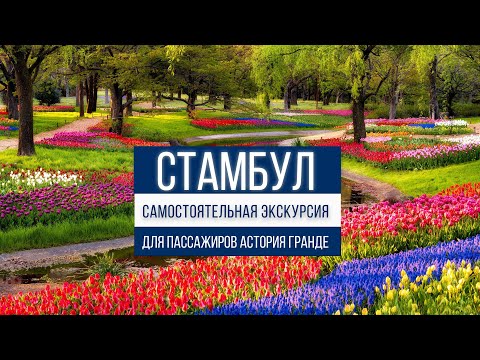 Видео: Стамбул | для пассажиров АСТОРИЯ ГРАНДЕ