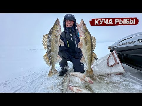 Видео: ВЕСЕННИЙ ЖОР рыбы в конце зимы / Поклевки судака и РЕЧНЫЕ обитали под ВОДОЙ