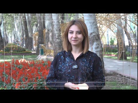 Видео: Дидгох - Шухрати чахонии Мавлоно