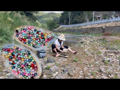 Видео: Охотники за жемчугом открывают у реки жемчужные устрицы, чтобы собрать разноцветный жемчуг.