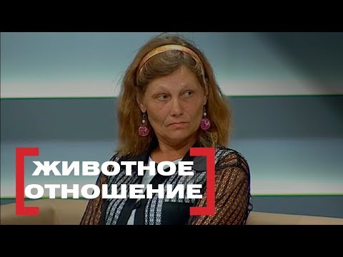 Видео: Животное отношение. Касается Каждого, эфир от 08.07.2015