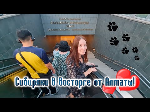 Видео: Казахстан Алга! Сибиряки в восторге от Алматы!
