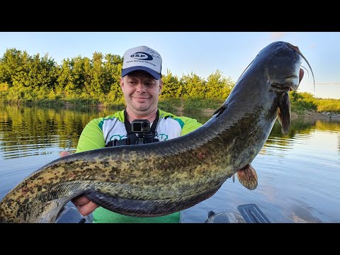 Видео: Первый Сом на Квок! Ловля Сома на Квок в Городе! BIG CATFISH