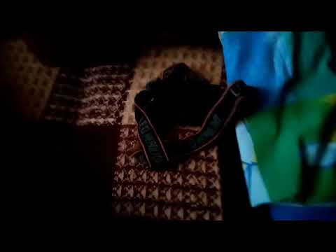 Видео: Гуси обнимуси 2 сезон:6 серия переполох часть 2 
