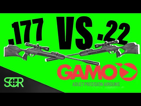 Видео: .177 против .22 Gamo Magnum GEN3i — какой из них лучше?