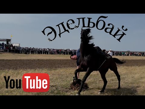 Видео: Эдельбай.Самый чистый Туркменский Район 💪