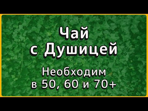 Видео: Бабушкин рецепт, который подтвердили учёные: чай с душицей от 7 болезней