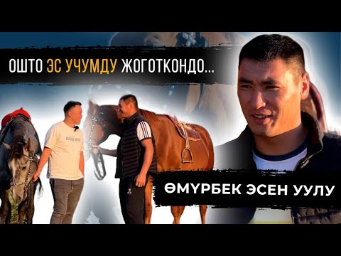 Видео: Өмүрбек Эсен уулу - Көк бөрү, балалык жана максаттары жөнүндө