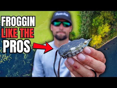 Видео: Чего вам не расскажут профессионалы о ловле лягушек...