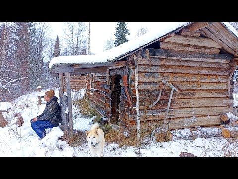 Видео: Охота на ГЛУХАРЯ С МЕЛКАШКОЙ / НОЧЁВКА В ИЗБУШКЕ / ВЫЕЗЖАЕМ ДОМОЙ НА БУРАНЕ / ЖИЗНЬ В ДИКОЙ ТАЙГЕ.
