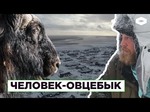 Видео: Нганасаны, долганы и вертолет дважды в неделю: как живут люди на Таймыре | Человек-овцебык