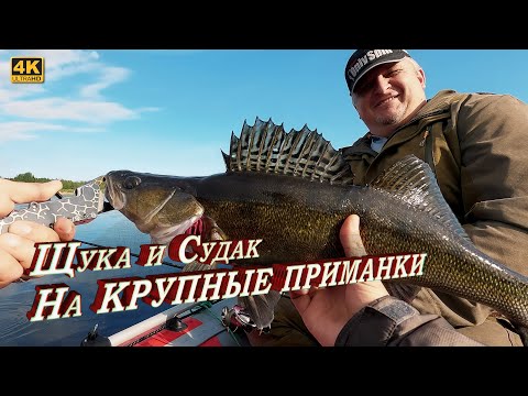 Видео: Щука и Судак на крупные приманки. Рыбалка на спиннинг с лодки в Псковской области, май 2024