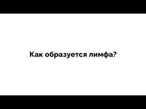 Видео: Лимфа. Как образуется лимфа?