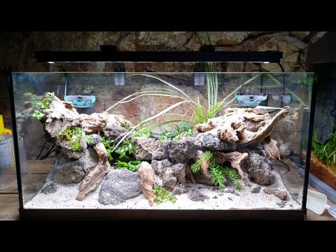 Видео: Tetra - 2 выпуск. Озеленение.