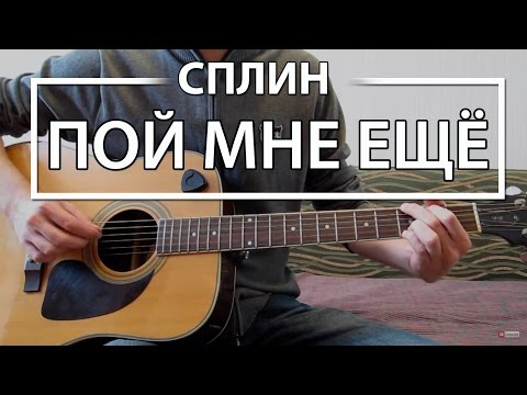 Видео: Как играть "Пой мне еще" - Сплин (Разбор для гитары, Аккорды, Табы, видеоурок СПЛИН)