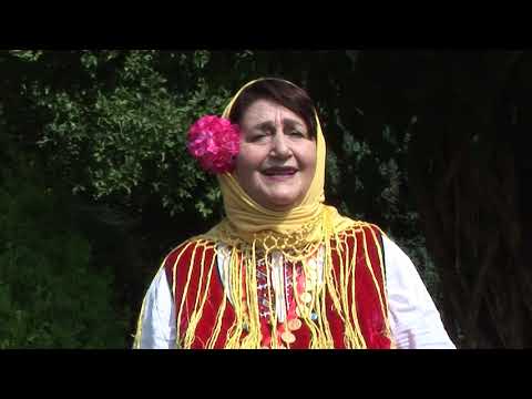 Видео: Любка Йонова- Песен за Добри Добруджанеца
