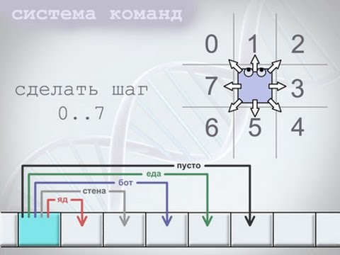 Видео: генетический алгоритм